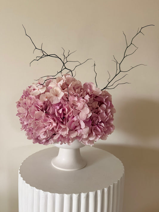 VIOLETA Preserved Floral Arrangement in White Isabella Compote vase