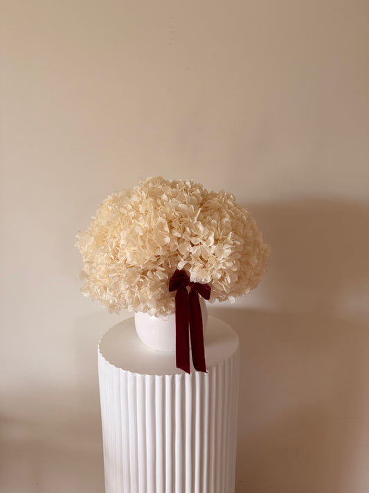 SUZANNA Preserved Floral Arrangement in white ceramic vase